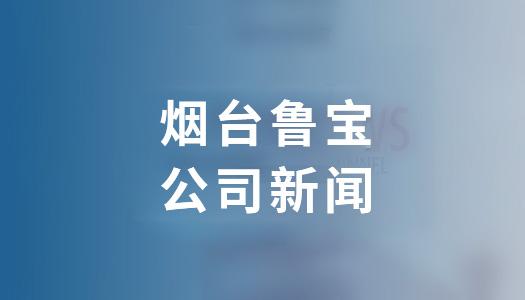 鲁宝钢管顺利完成CHEVRON雪佛龙现场审核